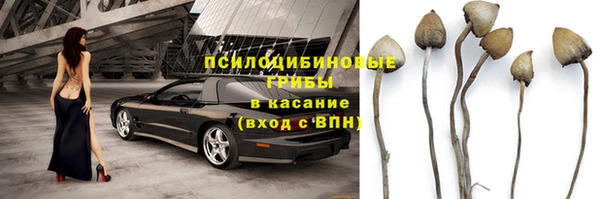 дмт Осинники