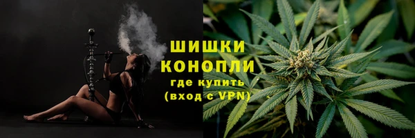 дмт Осинники