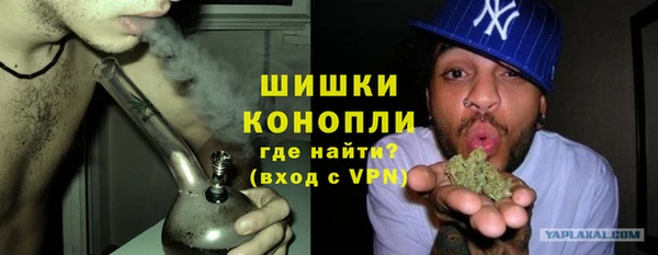 дмт Осинники