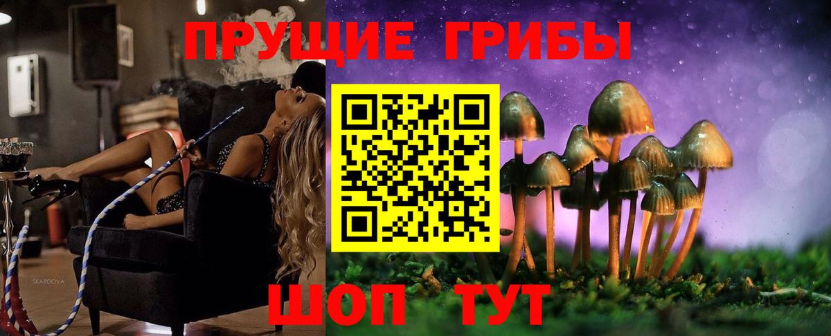 Галлюциногенные грибы MAGIC MUSHROOMS  Вход с VPN  Брянск  Галлюциногенные грибы Cubensis 