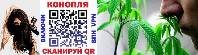 закладки  Брянск  Шишки марихуана семена 